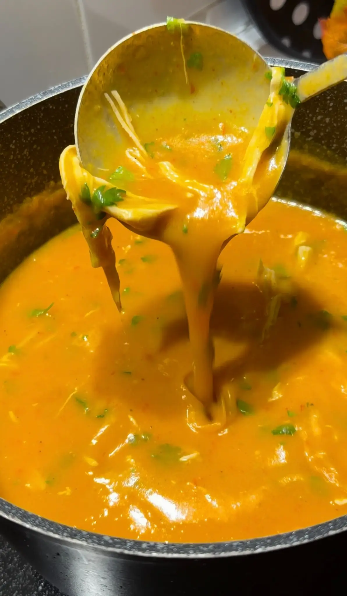 Chicken Vegetable Soup