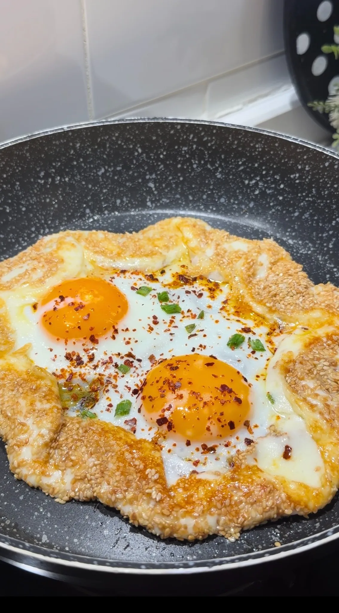 Sesame Crusted Eggs